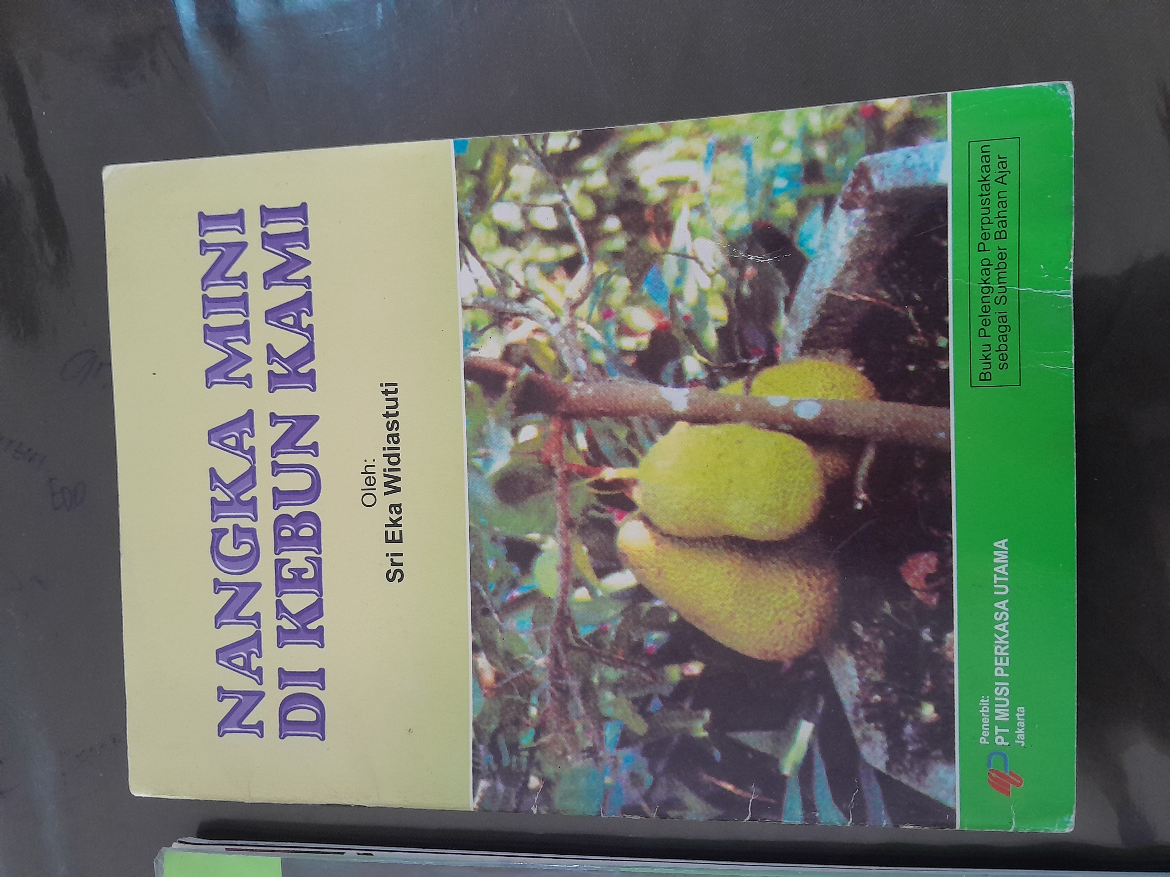 NANGKA MINI DI KEBUN KAMI