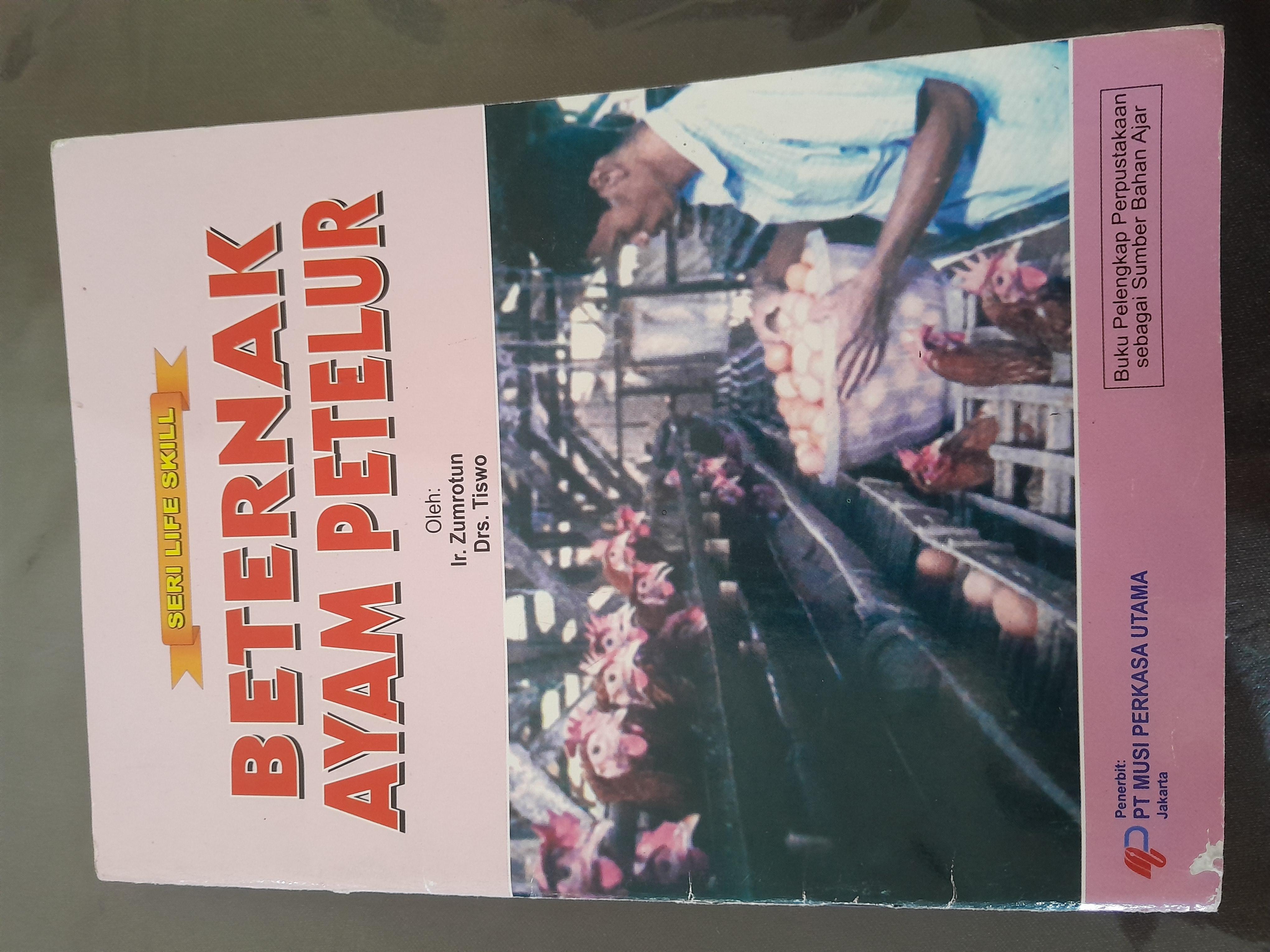 BETERNAK AYAM PETELUR